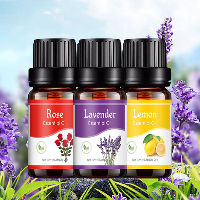 Fragrance World Perfume - 천연 식물 만들기 디퓨저, 자동차 향수