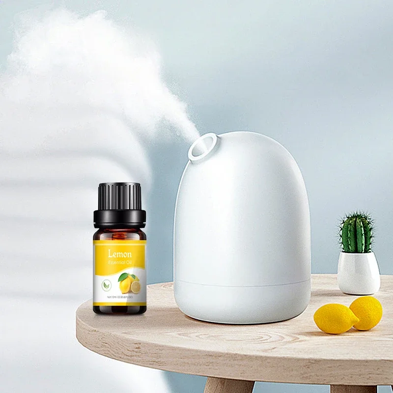 천연 식물 만들기 디퓨저, 자동차 향수 방향제 향수 에 - Fragrance World Perfume 리뷰 및 가격