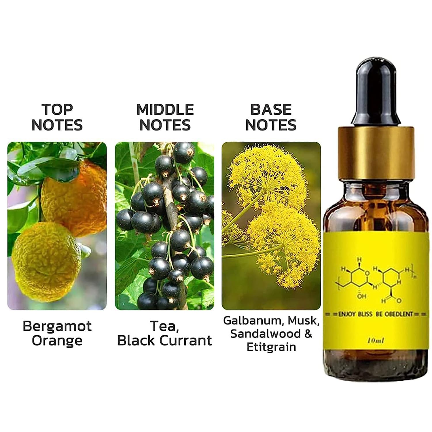 남자를위한 페로몬은 여자를 유혹합니다 Androsten - Fragrance World Perfume 리뷰 및 가격