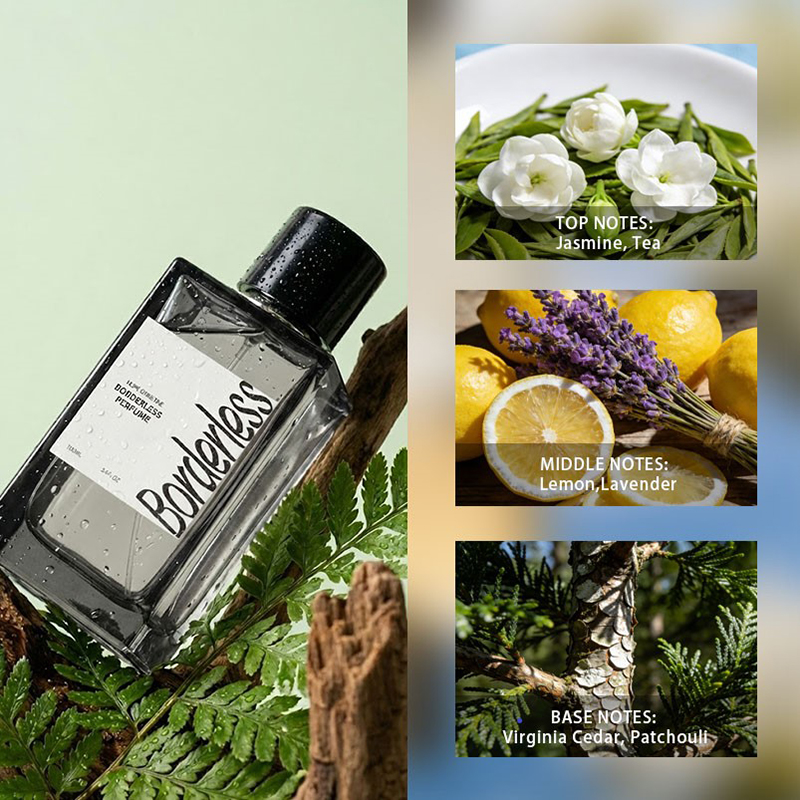 럭셔리 보더리스 남성 향수 클래식 라벤더 패출리 아로마 - Perfume Jasmine Fragrance 리뷰 및 가격